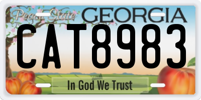 GA license plate CAT8983