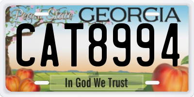 GA license plate CAT8994