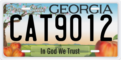 GA license plate CAT9012