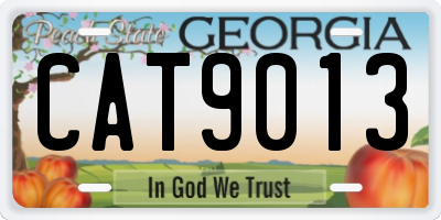 GA license plate CAT9013