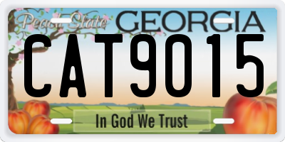 GA license plate CAT9015