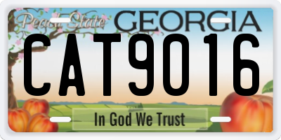 GA license plate CAT9016