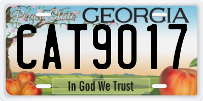 GA license plate CAT9017