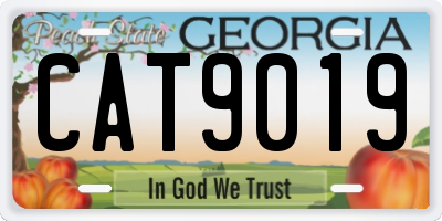 GA license plate CAT9019