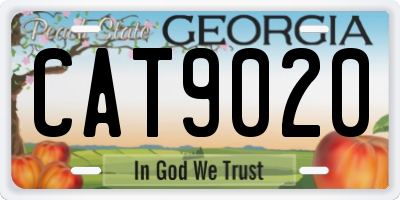GA license plate CAT9020
