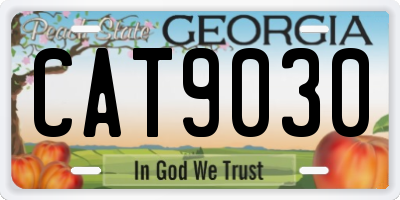 GA license plate CAT9030