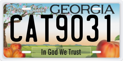 GA license plate CAT9031