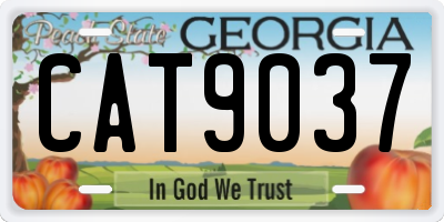 GA license plate CAT9037