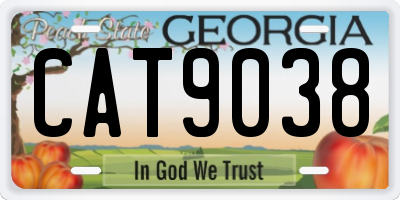 GA license plate CAT9038