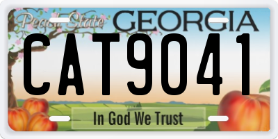 GA license plate CAT9041