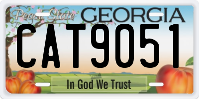 GA license plate CAT9051