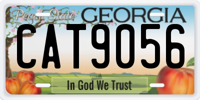GA license plate CAT9056