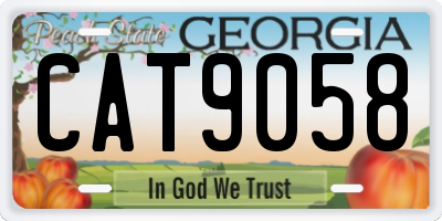 GA license plate CAT9058