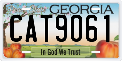 GA license plate CAT9061
