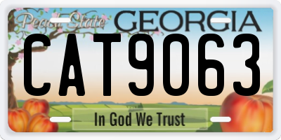 GA license plate CAT9063
