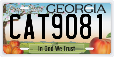 GA license plate CAT9081