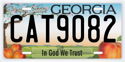 GA license plate CAT9082