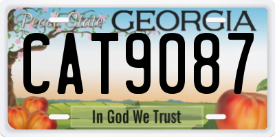 GA license plate CAT9087
