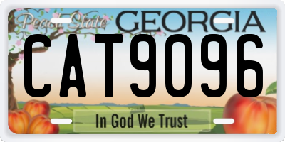 GA license plate CAT9096