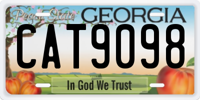 GA license plate CAT9098