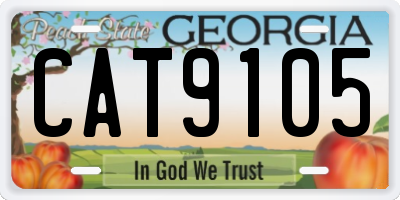 GA license plate CAT9105