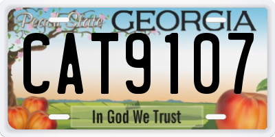 GA license plate CAT9107