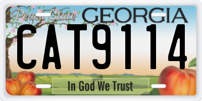 GA license plate CAT9114