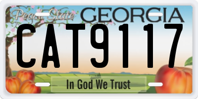 GA license plate CAT9117