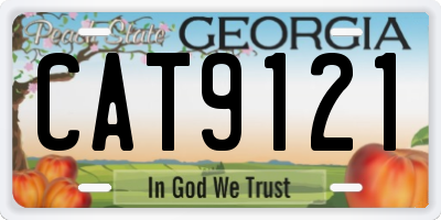 GA license plate CAT9121