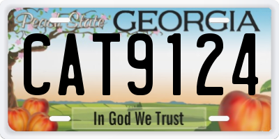 GA license plate CAT9124