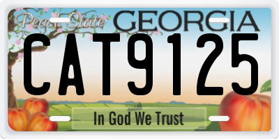 GA license plate CAT9125