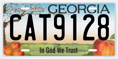 GA license plate CAT9128