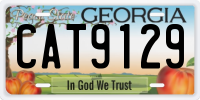 GA license plate CAT9129