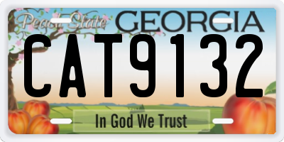GA license plate CAT9132