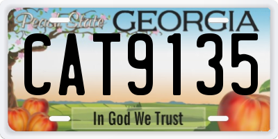 GA license plate CAT9135
