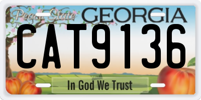 GA license plate CAT9136