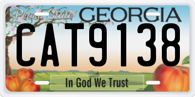 GA license plate CAT9138