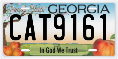 GA license plate CAT9161