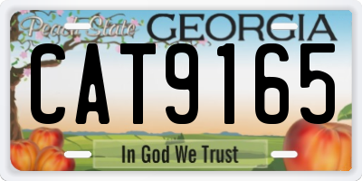 GA license plate CAT9165