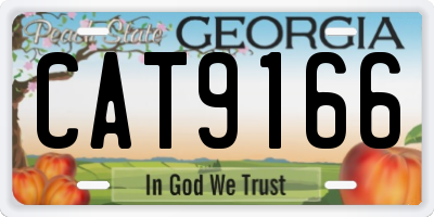 GA license plate CAT9166