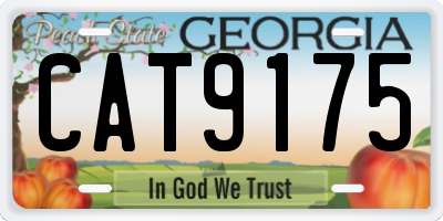 GA license plate CAT9175