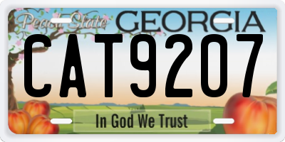 GA license plate CAT9207