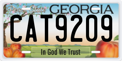 GA license plate CAT9209