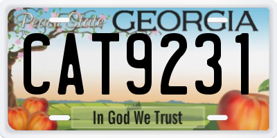 GA license plate CAT9231