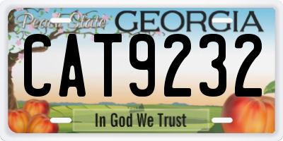 GA license plate CAT9232