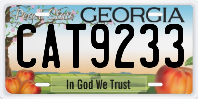 GA license plate CAT9233