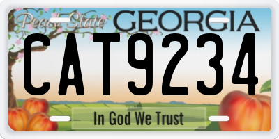 GA license plate CAT9234