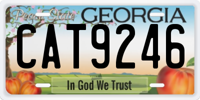 GA license plate CAT9246