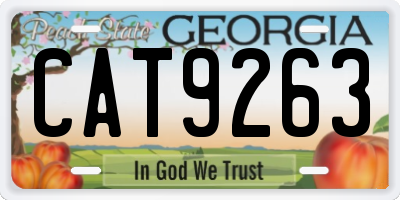 GA license plate CAT9263