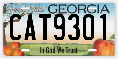 GA license plate CAT9301
